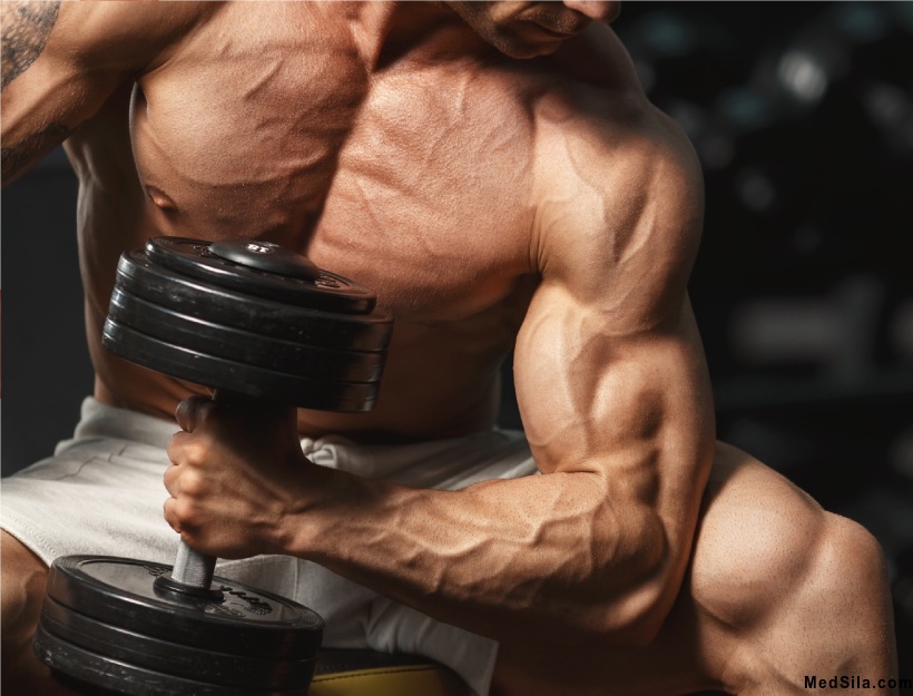 Организм с высоким содержание тестостерона